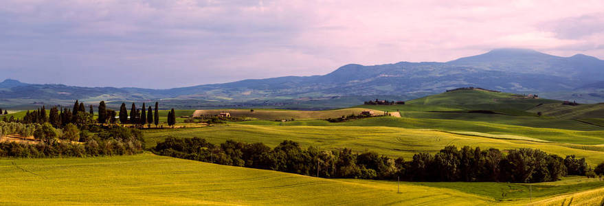 意大利的托斯卡纳，绿色的春天全景景观的美丽和神奇色彩