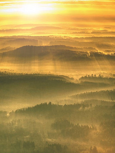 清晨的阳光下有雾的森林景观。梦幻般的 areial 景观。山森林在云彩
