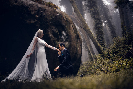 可爱的情侣新婚夫妇新娘和新郎在一个美丽的神秘森林与惊人的秋季雾