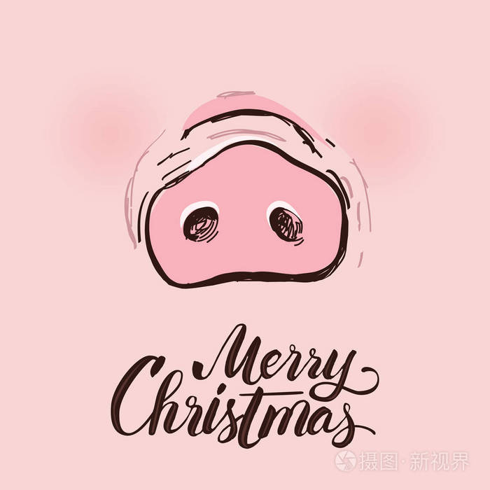 在粉红色背景的猪鼻子的横幅.2019新年.刻字