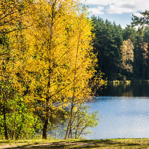 美丽的秋天风景与森林湖