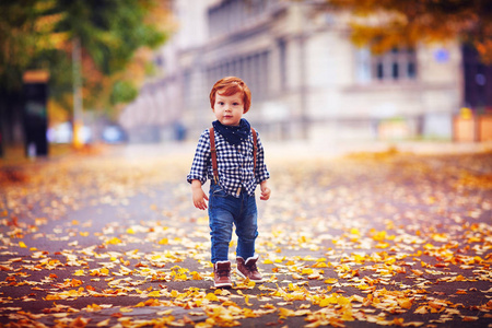 可爱的红头发蹒跚学步的小男孩在秋季公园落叶中漫步
