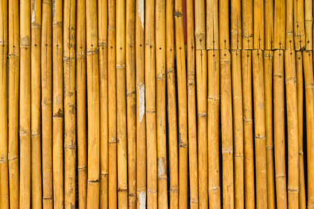 竹篱笆，在泰国