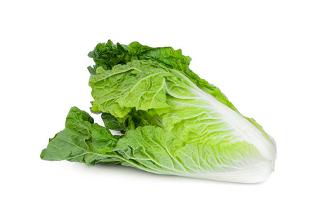 孤立在白色背景上的新鲜大白菜照片