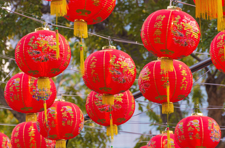 传统中国的灯笼挂在公园的树上图片
