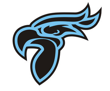 曲棍球艺术图片