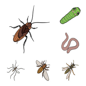 不同种类的昆虫卡通图标集为设计收藏。昆虫节肢动物向量等距符号股票 web 插图