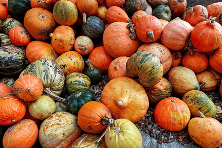 各种各样的橙色和绿色的南瓜在地上的农民市场。秋季收获