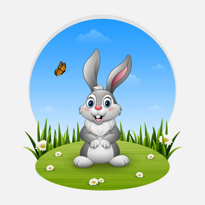 动物兔夏天卡通图片