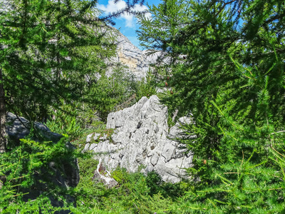 在瑞士, 欧洲的 Gemmi 通过的高山路线惊人的风景