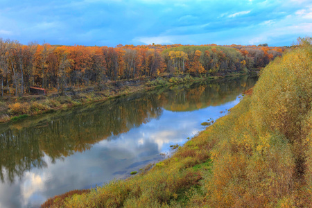 俄罗斯河景观的黄色的秋天树林