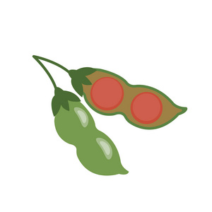 天然扁豆图片-天然扁豆素材-天然扁豆插画-摄图新视界