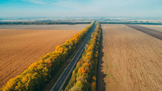 在乌克兰的新道路鸟瞰图。秋天。道路标记