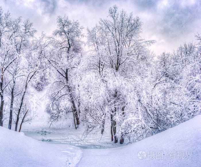 下雪的场景图片 真实图片