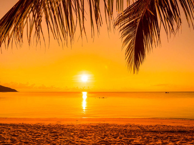 美丽的热带海滩海和海洋与椰子棕榈树在日出时间为旅行和假期照片