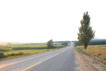 在日落乡下道路