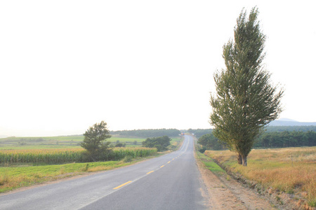 在日落乡下道路