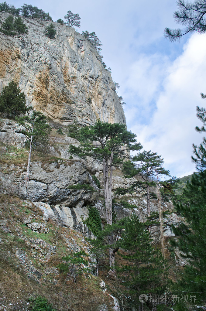 在克里米亚山