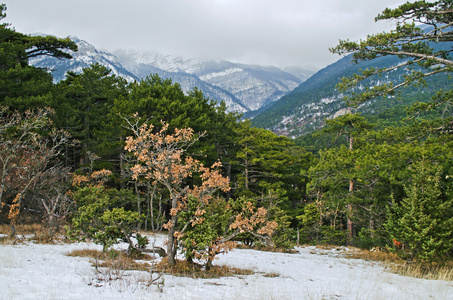 在克里米亚山