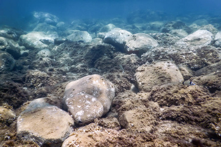 海底生活水下岩石阳光, 水下生活照片