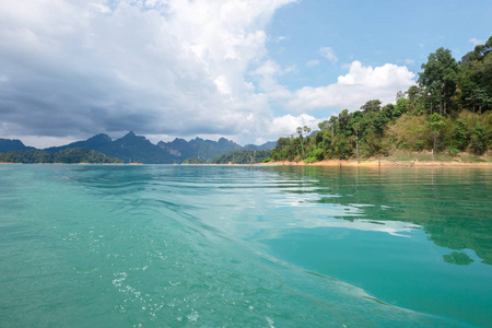 夏天森林河范围风景