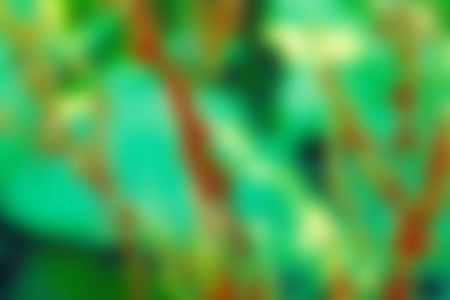 抽象的绿色棕色琥珀色的色彩模糊的纹理背景关闭焦点。可用作墙纸或网页设计