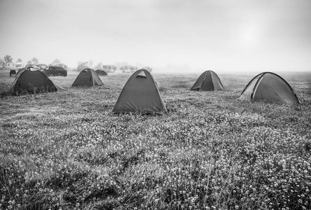 在清晨的田野上旅行帐篷。黑白照片