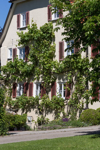 在6月的一个非常阳光明媚的一天, 在德国南部, 你看到农村的房子和门面与树木和植物周围的小村庄和地方