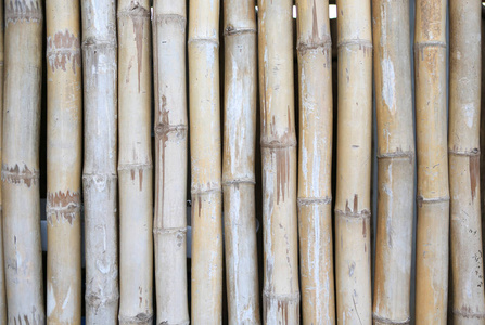 垂直竹栅栏背景