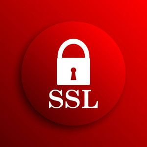 ssl 图标