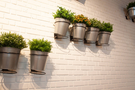 现代室内墙与小花园盆栽植物