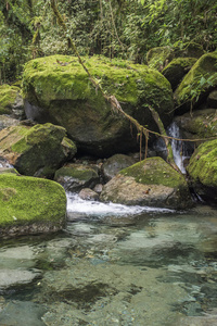美丽的大西洋雨林瀑布景观与水晶清澈的蓝色水在塞林哈生态保护区, 里约热内卢, 巴西