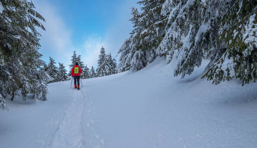 冬季远足。游客在雪地覆盖的群山中远足。山中美丽的冬季景观