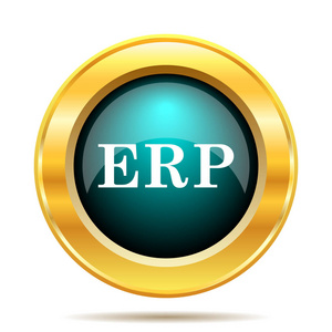 Erp 图标。白色背景上的互联网按钮