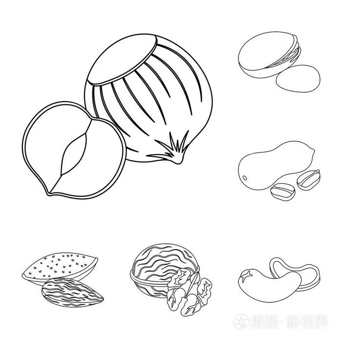 坚果食物矢量符号库存 web 插图插画-正版商用图片09pabn-摄图新视界