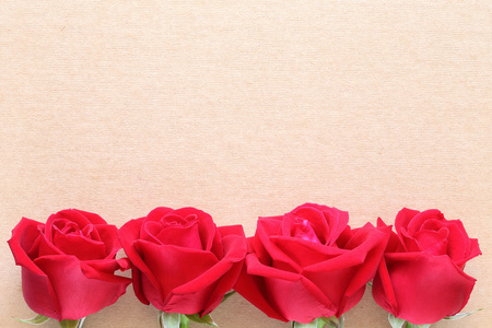 红色玫瑰花创意张空白的纸页上的