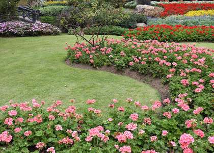 夏天花园粉色花图片