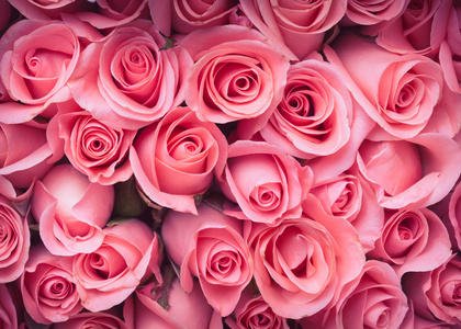 粉红色玫瑰花花束复古背景