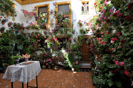 院子里装饰着花朵，科尔多瓦，西班牙