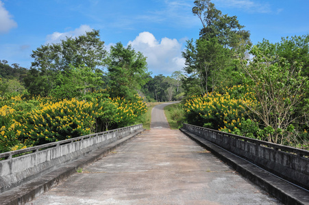 在泰国的公路和蓝天