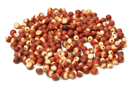 赤小豆芡实图片