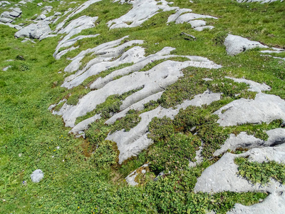 在瑞士, 欧洲的 Gemmi 通过的高山路线惊人的风景