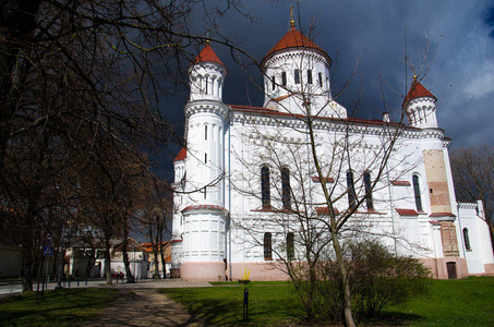圣母圣母的东正教教堂 西奥托科斯大教堂, 立陶宛维尔纽斯