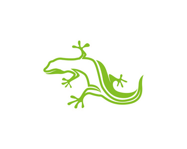 gecko 绿色徽标向量