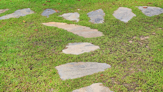 绿草背景公园的石通路