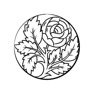 玫瑰花朵复古小插图和页面装饰