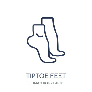 脚尖脚图标。从人体零件集合的脚尖脚线性符号设计