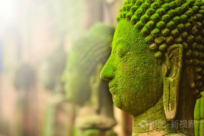 佛头穿破了在泰国老挝缅甸柬埔寨印度斯里兰卡的户外在