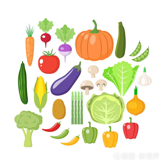 五颜六色的蔬菜剪贴画集蔬菜彩色卡通矢量收藏
