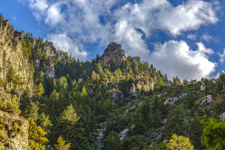 在普罗沃峡谷的山和树木的看法。风景秀丽的松树, 从峡谷小径上望去, 周围有浮肿的云层。